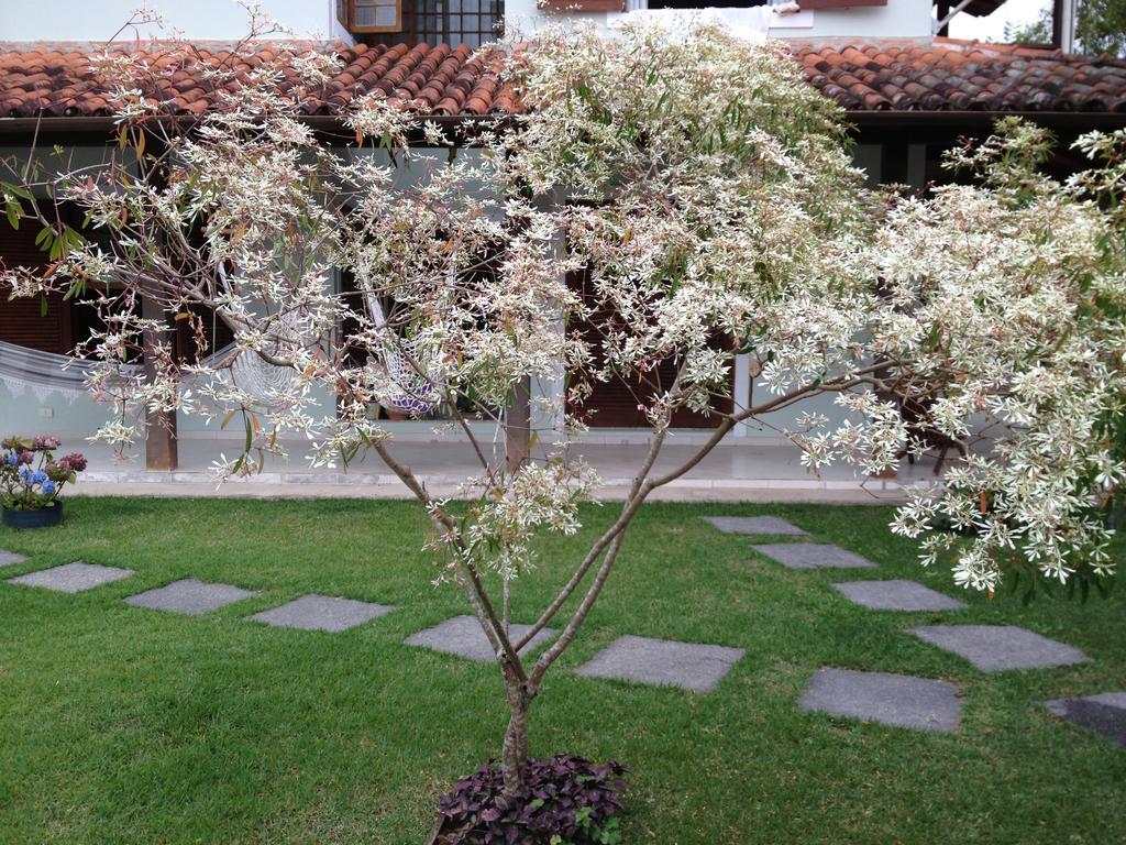 Pousada Acai Παρατί Εξωτερικό φωτογραφία